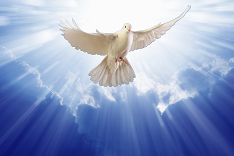 God The Holy Spirit - God The Holy Spirit